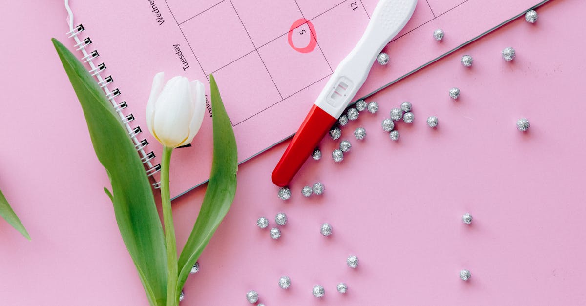 découvrez comment créer un calendrier de contenu efficace pour optimiser votre stratégie de marketing digital. planifiez, organisez et partagez votre contenu de manière cohérente pour engager votre audience et booster votre visibilité en ligne.