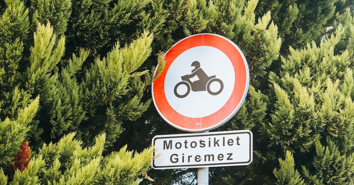 découvrez le contenu evergreen, une stratégie incontournable pour créer des articles intemporels qui attirent et engagent votre audience sur le long terme. apprenez à concevoir des contenus qui restent pertinents au fil du temps, augmentent le trafic et renforcent votre visibilité en ligne.