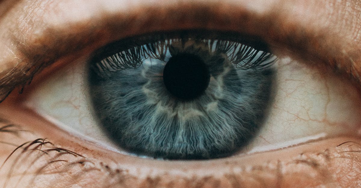 découvrez l'évaluation de la perception humaine, un domaine fascinant qui explore comment les individus perçoivent, interprètent et réagissent aux stimuli environnementaux. plongez dans les méthodologies, les résultats de recherche et les applications pratiques liées à la perception humaine.