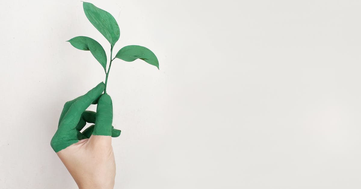 découvrez les différentes certifications en matière de durabilité qui garantissent des pratiques respectueuses de l'environnement. informez-vous sur les labels qui valorisent les engagements écologiques des entreprises et favorisent un avenir plus durable.